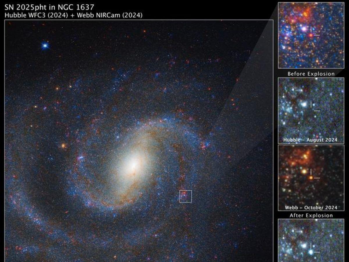 Première Supernova d'une Géante Rouge Découverte Première Supernova d'une Géante Rouge Découverte