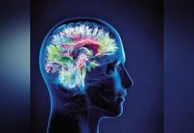 Mémoire et Cerveau: Action et Images Mémoire et Cerveau: Action et Images