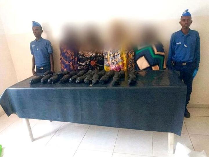 Baronnes Du Cannabis Arrêtées À Ambouli Baronnes Du Cannabis Arrêtées À Ambouli