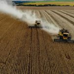 Soja: Pilier Invisible de l’Élevage Industriel Mondial Soja: Pilier Invisible de l'Élevage Industriel Mondial