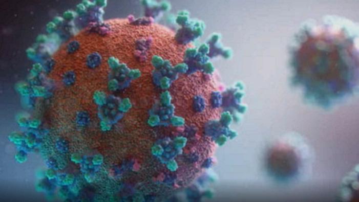 Visage Infecté Virtuel Stimule Système Immunitaire Visage Infecté Virtuel Stimule Système Immunitaire