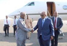 Chef de l’État de Djibouti rentre après l’inauguration Chef de l'État de Djibouti rentre après l'inauguration