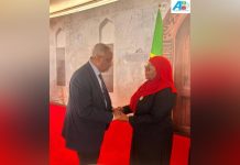 Chef de la diplomatie djiboutienne à l’investiture en Tanzanie Chef de la diplomatie djiboutienne à l'investiture en Tanzanie