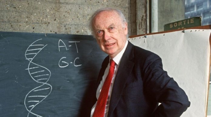 James Watson, pionnier de l’ADN à la réputation ternie James Watson, pionnier de l'ADN à la réputation ternie