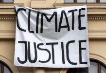 Afrique Payera Pour Excès Du Nord À La COP30 Afrique Payera Pour Excès Du Nord À La COP30