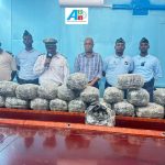 Saisie de 30 kg de cannabis à Ali-Sabieh Saisie de 30 kg de cannabis à Ali-Sabieh