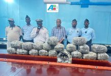 Saisie de 30 kg de cannabis à Ali-Sabieh Saisie de 30 kg de cannabis à Ali-Sabieh