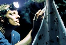 Insectes: Sources de leur déclin vertigineux Insectes: Sources de leur déclin vertigineux