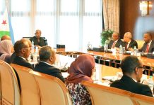 Chef de l’État Préside la 17ème Séance du Conseil Chef de l'État Préside la 17ème Séance du Conseil