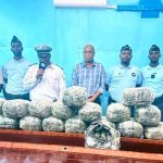 Saisie Majeure De Cannabis À La Frontière De Galilée Saisie Majeure De Cannabis À La Frontière De Galilée