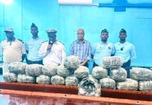 Saisie Majeure De Cannabis À La Frontière De Galilée Saisie Majeure De Cannabis À La Frontière De Galilée