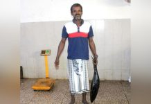 Un Jour, Un Métier: Ahmed Salah Said et La Mer Un Jour, Un Métier: Ahmed Salah Said et La Mer