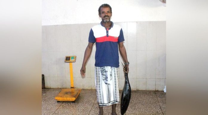 Un Jour, Un Métier: Ahmed Salah Said et La Mer Un Jour, Un Métier: Ahmed Salah Said et La Mer