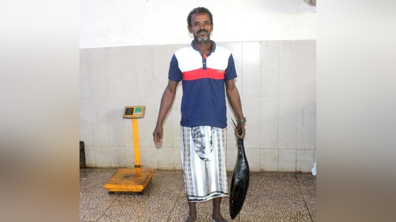 Un Jour, Un Métier: Ahmed Salah Said et La Mer Un Jour, Un Métier: Ahmed Salah Said et La Mer