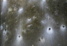 Découverte d’une toile géante d’araignées en Grèce Découverte d'une toile géante d'araignées en Grèce