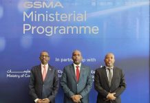 Djibouti Vise à Devenir Hub Digital d’Afrique de l’Est Djibouti Vise à Devenir Hub Digital d'Afrique de l'Est