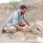 Espèce d’Hommes Contemporaine à Lucy Espèce d'Hommes Contemporaine à Lucy