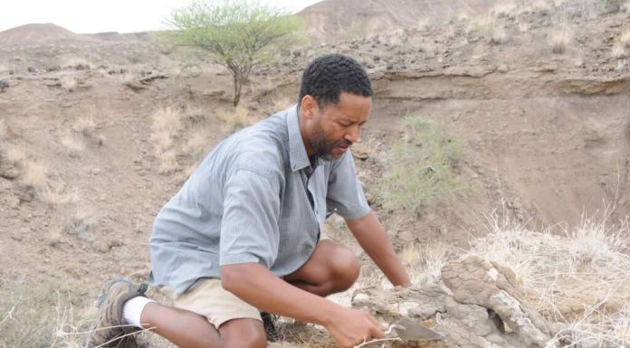 Espèce d’Hommes Contemporaine à Lucy Espèce d'Hommes Contemporaine à Lucy