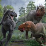 Confirmation d’un Tyrannosaure Nain par Étude Récente Confirmation d'un Tyrannosaure Nain par Étude Récente