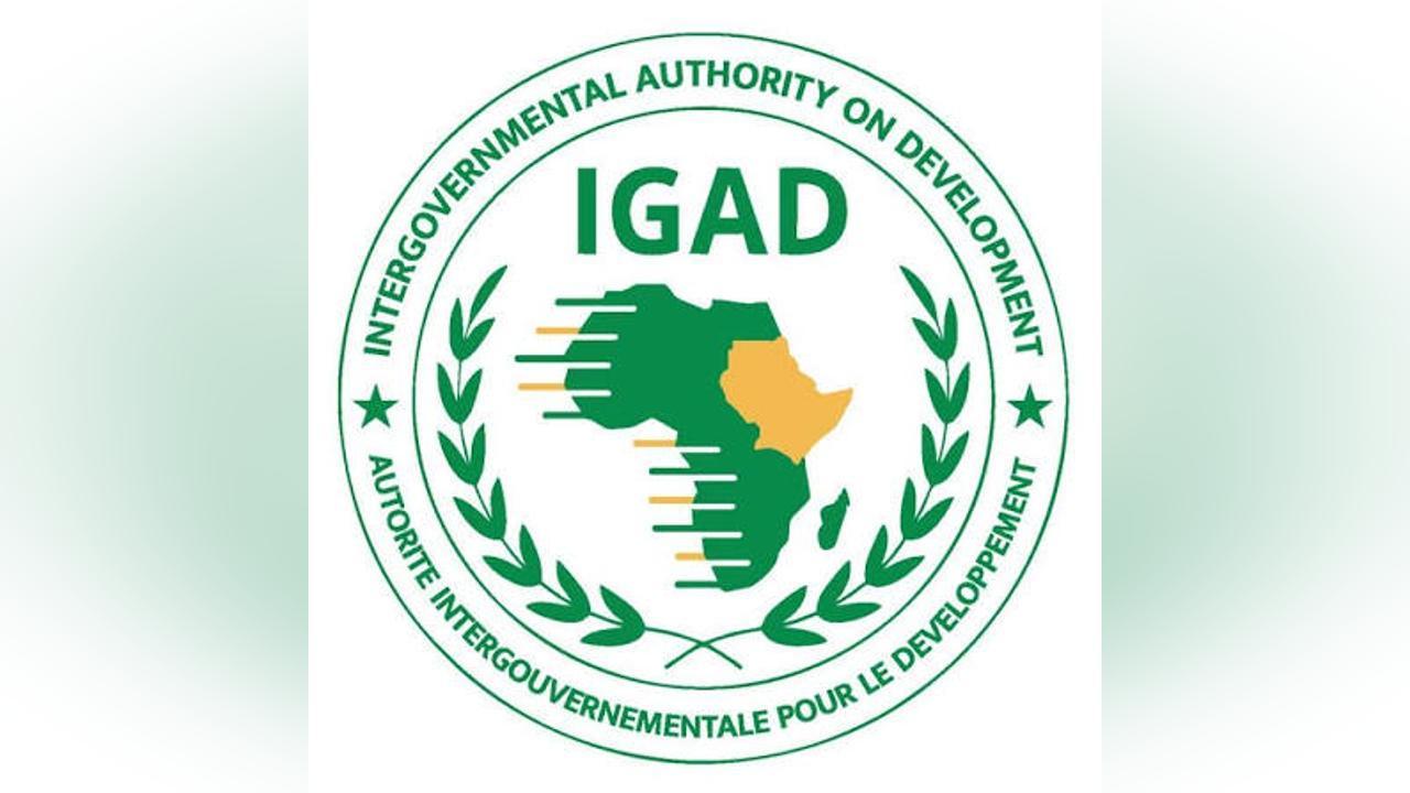 Djibouti Prend Acte Du Retrait De L'Erythrée De L'IGAD Djibouti Prend Acte Du Retrait De L'Erythrée De L'IGAD