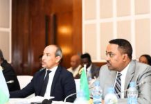 Ambassadeurs de l’IGAD Approuvent Stratégie 2026-2030 Ambassadeurs de l'IGAD Approuvent Stratégie 2026-2030