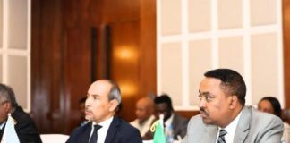 Ambassadeurs de l’IGAD Approuvent Stratégie 2026-2030 Ambassadeurs de l'IGAD Approuvent Stratégie 2026-2030