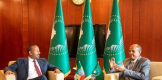 Volonté commune pour une COP32 africaine en Éthiopie Volonté commune pour une COP32 africaine en Éthiopie