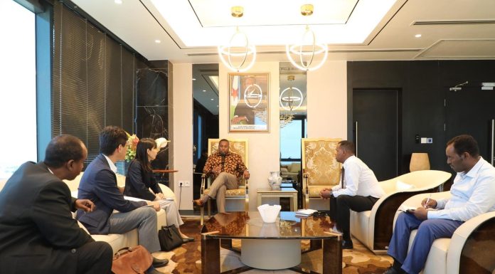 Djibouti Accélère Projet Géothermique Avec Japon Djibouti Accélère Projet Géothermique Avec Japon