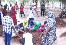 Innovation Agricole à Mabla Renforce Capacités Agropasteurs Innovation Agricole à Mabla Renforce Capacités Agropasteurs