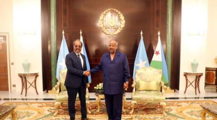 Entretien Au Sommet Entre Guelleh Et Son Homologue Somalien Entretien Au Sommet Entre Guelleh Et Son Homologue Somalien