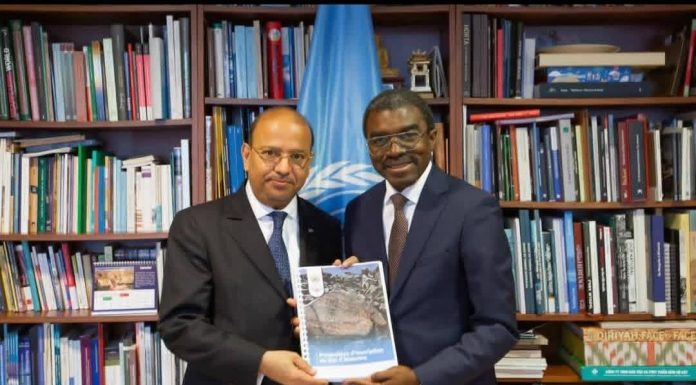 Djibouti Dépose Candidature pour Site d’Art Rupestre Djibouti Dépose Candidature pour Site d'Art Rupestre