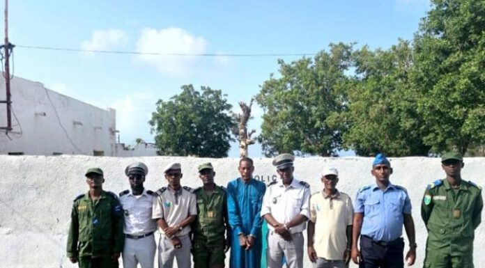 Douaniers Djiboutiens Interceptent Trafic de Cocaïne Douaniers Djiboutiens Interceptent Trafic de Cocaïne