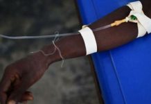 Changement Climatique Et Coût Du Paludisme En Afrique Changement Climatique Et Coût Du Paludisme En Afrique