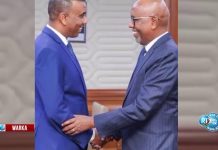 Ministre Djiboutien Reçu par Premier Ministre Somalien Ministre Djiboutien Reçu par Premier Ministre Somalien