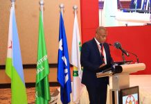 CECAFA: Paulos Andemariam Nouveau Président Érythréen CECAFA: Paulos Andemariam Nouveau Président Érythréen