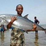 Plan National de Développement 2025-2030 Pour Emploi Plan National de Développement 2025-2030 Pour Emploi