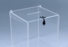 Campagne Électorale de 15 Jours Pour 256 000 Électeurs Campagne Électorale de 15 Jours Pour 256 000 Électeurs