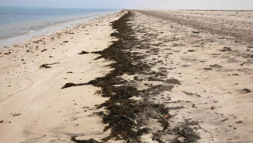 Naufrage d'un navire avec 320 migrants à Djibouti Naufrage d'un navire avec 320 migrants à Djibouti