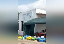 Mabla Une Pépinière Pour Enraciner L’Avenir Agropastoral Mabla Une Pépinière Pour Enraciner L’Avenir Agropastoral