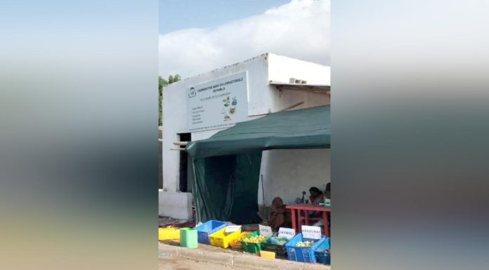 Mabla Une Pépinière Pour Enraciner L’Avenir Agropastoral Mabla Une Pépinière Pour Enraciner L’Avenir Agropastoral