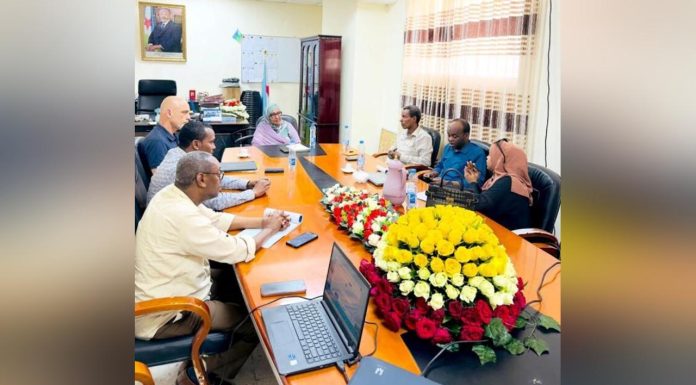 Cap 2026: L’École Comme Moteur de Transition Écologique Cap 2026: L'École Comme Moteur de Transition Écologique