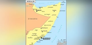 Pays Arabes, Africains et Asiatiques Dénoncent Israël Pays Arabes, Africains et Asiatiques Dénoncent Israël