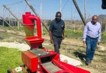 Maralfalfa Comme Atout Pour L’Élevage À Tadjourah Maralfalfa Comme Atout Pour L'Élevage À Tadjourah