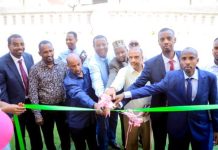 Développement des Métiers Sportifs à Djibouti Développement des Métiers Sportifs à Djibouti