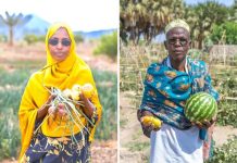 Résilience des Communautés de Djibouti Face au Climat Résilience des Communautés de Djibouti Face au Climat