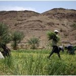Agroécologie Et Agroforesterie Bâtir La Résilience Agroécologie Et Agroforesterie Bâtir La Résilience