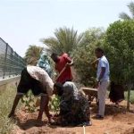 Changement Climatique Et Trajectoires Migratoires Changement Climatique Et Trajectoires Migratoires