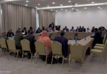 مصر تكشف الهدف من استضافة الاجتماع بين قوى الحرية والتغيير