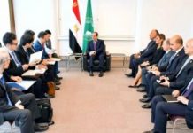 السيسى يشجع اليابان للإستثمار في مصر