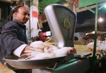 ارتفاع مفاجئ في أسعار الدواجن يضغط على ميزانية العائلات